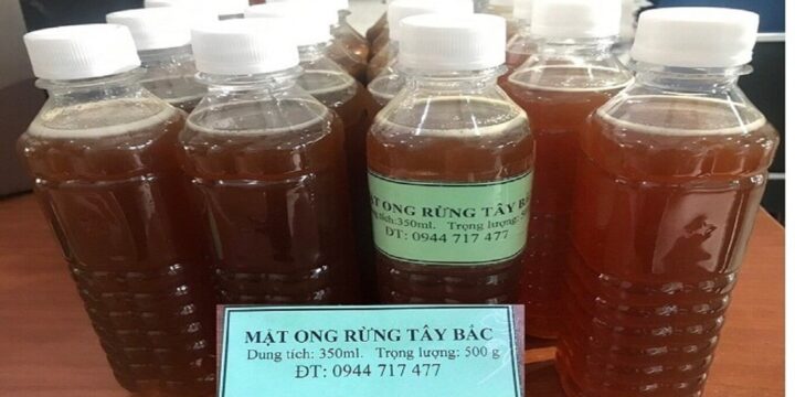 Mật ong rừng Tây Bắc