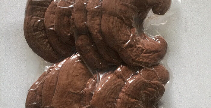 Nấm Linh Chi Sạch