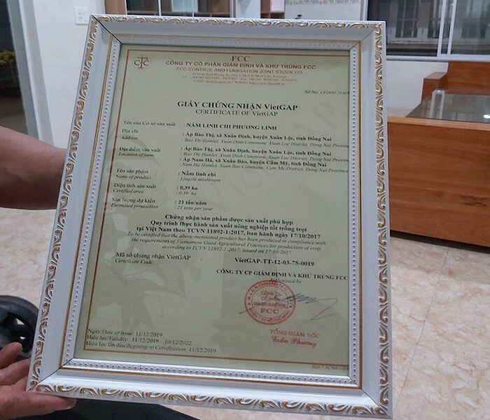 Giay chung nhan Giay chung nhan