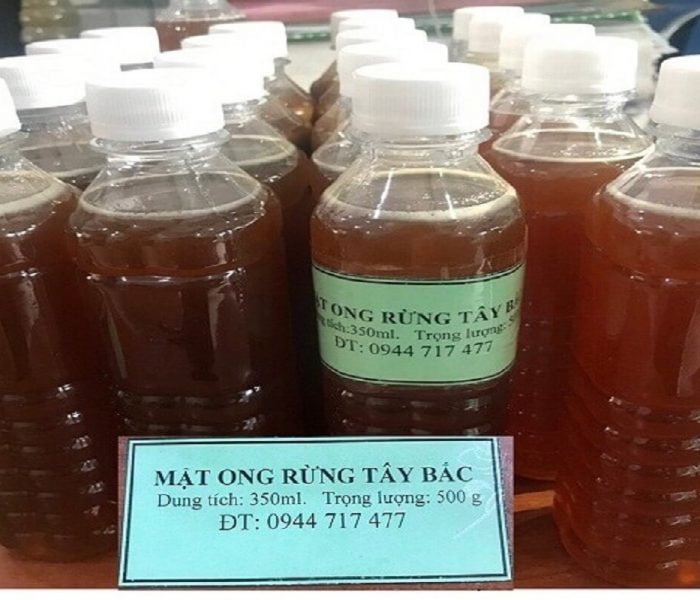 Mật ong rừng Ta6y Bắc Mật ong rừng Tây Bắc