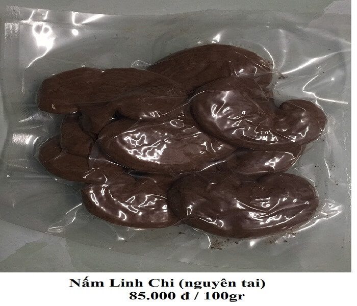 nam linh chi 3 nấm linh chi