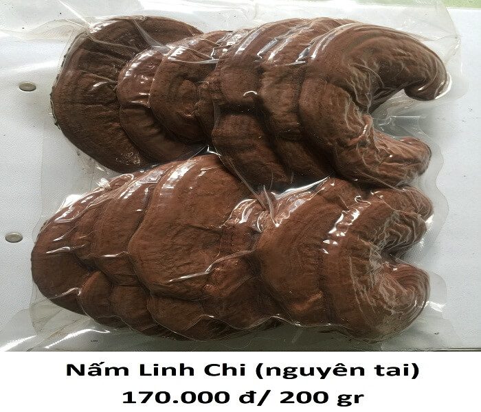 Nấm Linh chi 1 Nấm linh chi